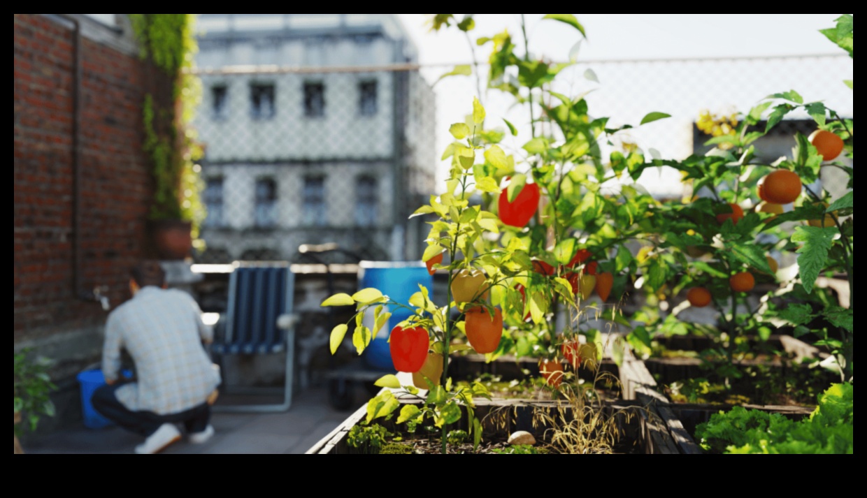 Recompensa pentru balcon: grădinărit urban pentru locuitorii de apartamente