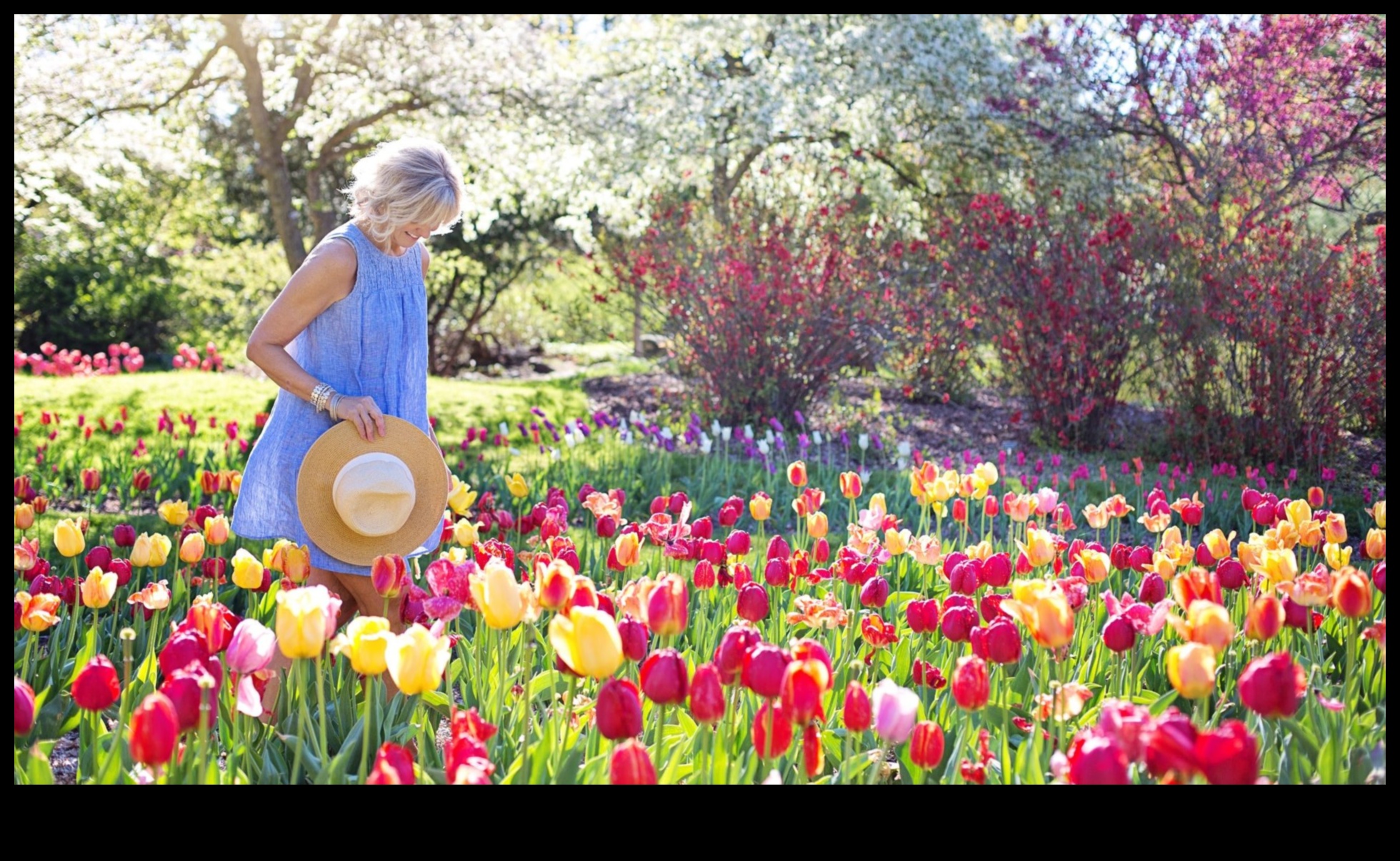 Cultivați bucuria: secrete de horticultură pentru fiecare grădină