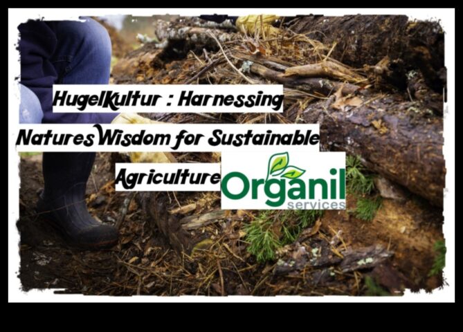 Modul organic cultivând înțelepciunea naturii în grădina ta